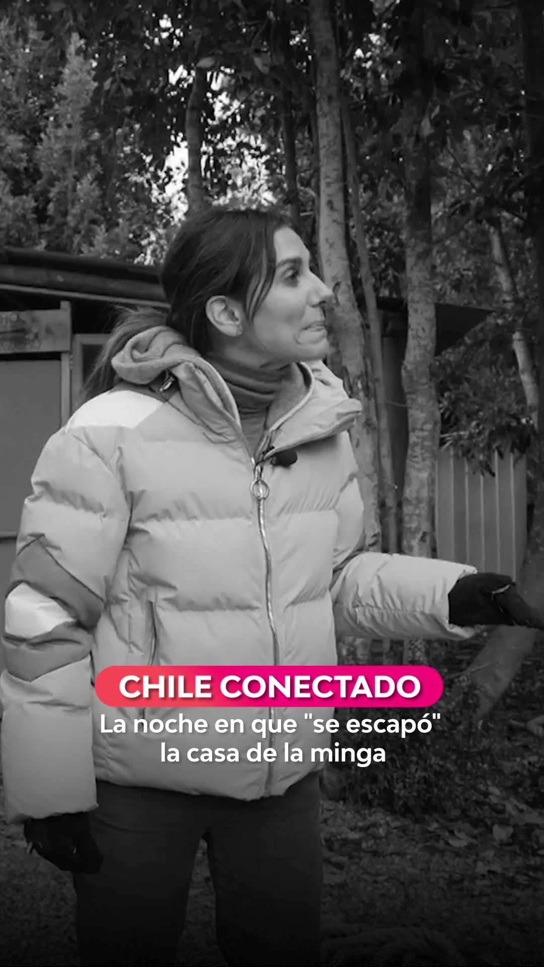 @Televisión Nacional de Chile