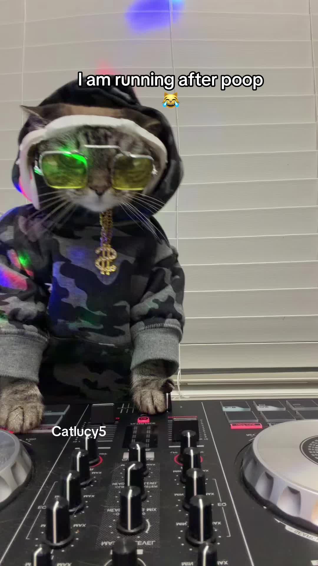 @Cat Lucy