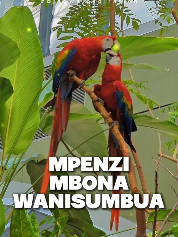 @bingwa_inspiration