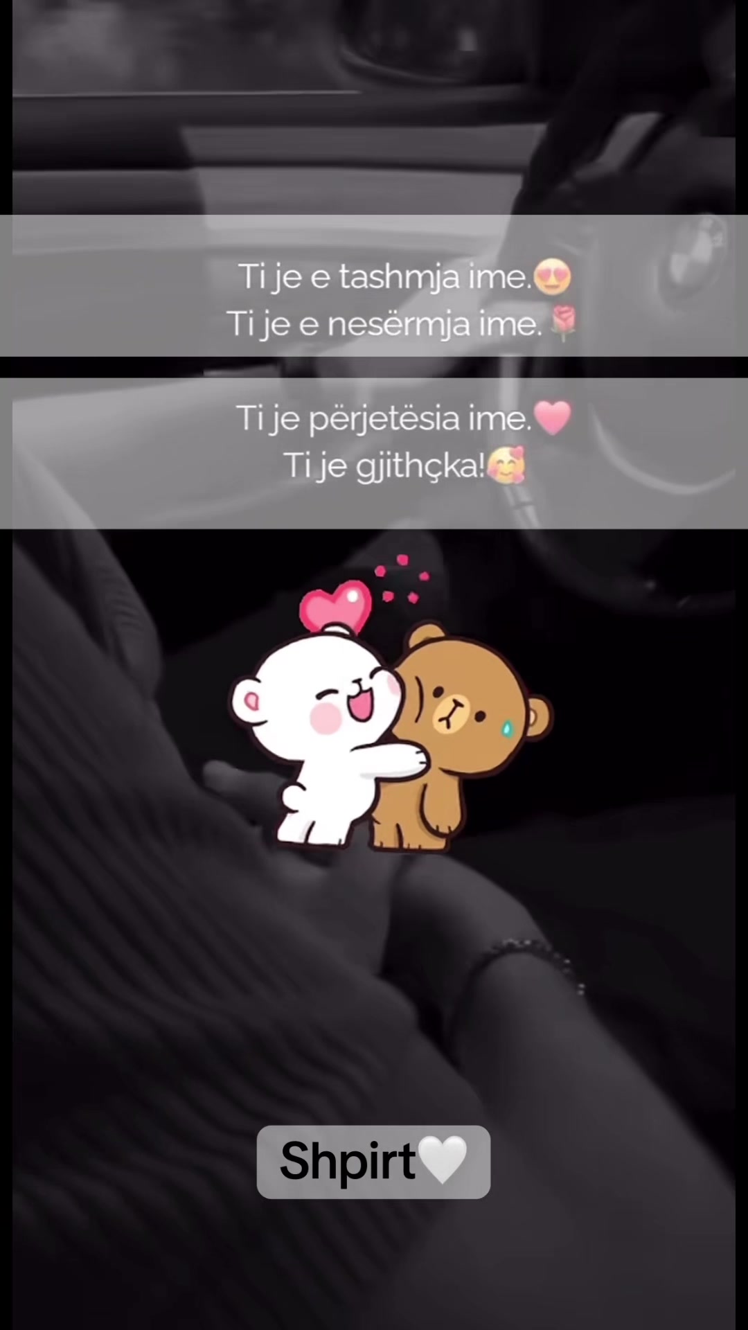 @🦁