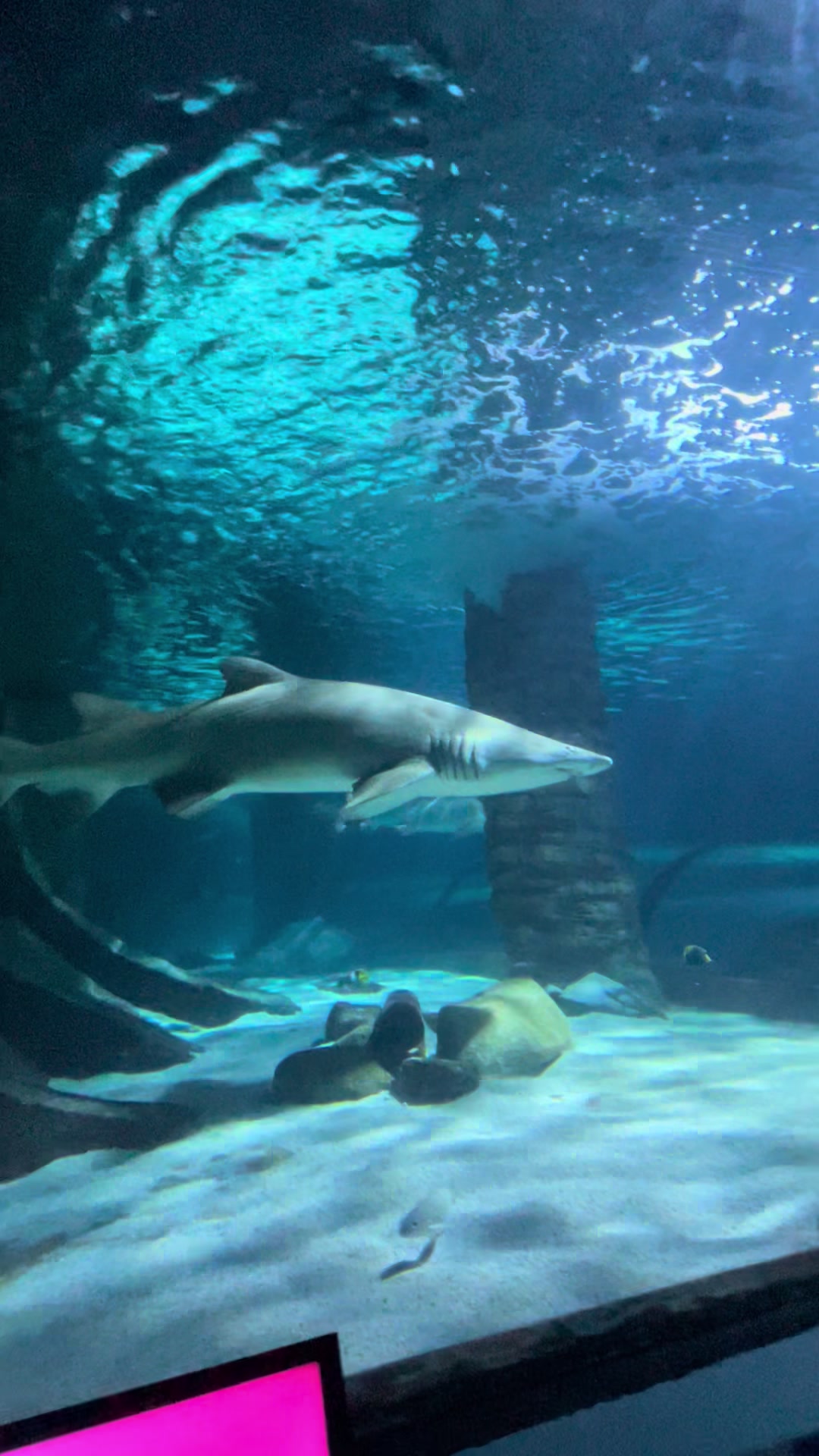 @TheDuchessofDUETS