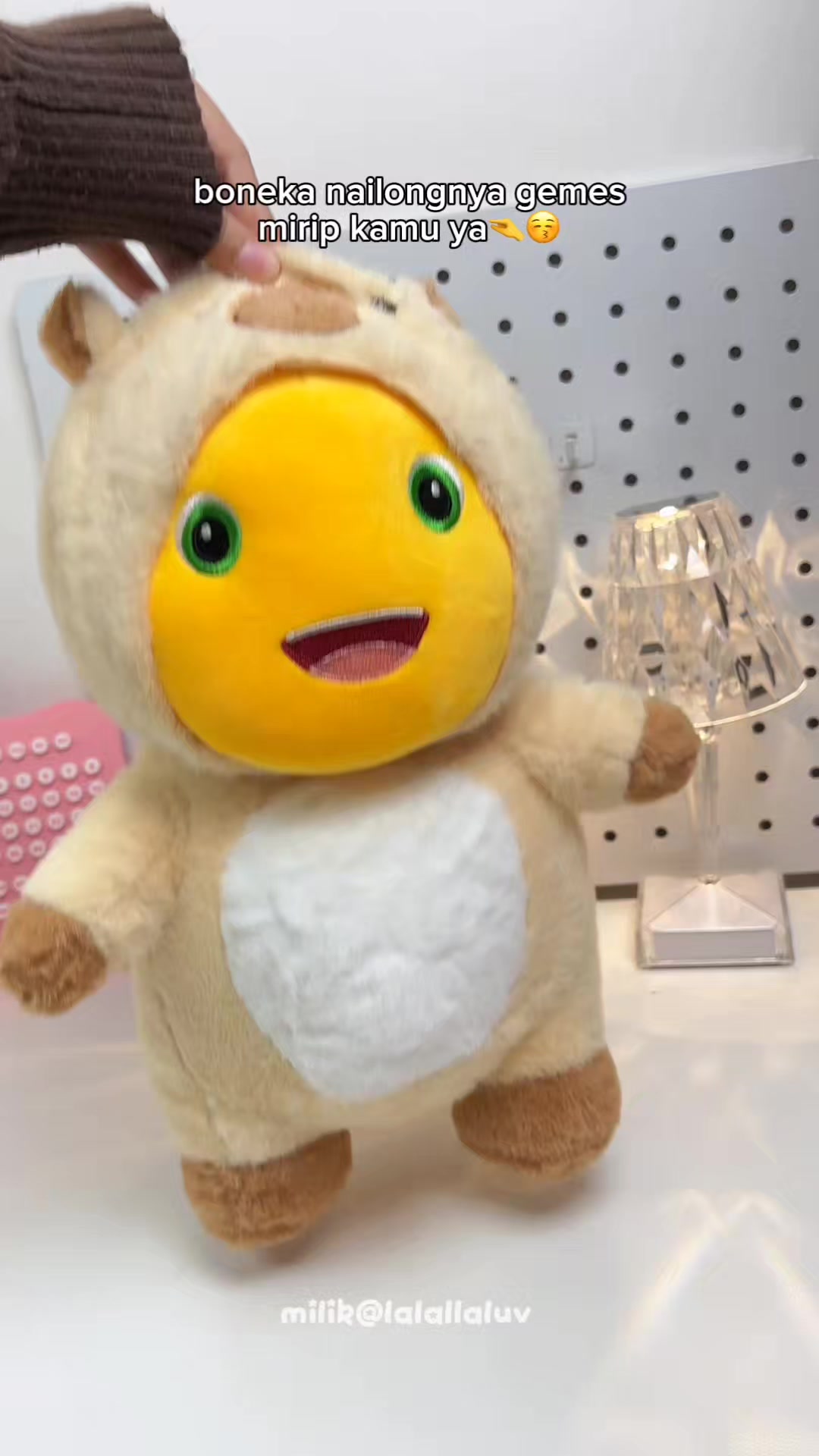 @inspirasi gift lucuu🧸 ·˚ ༘
