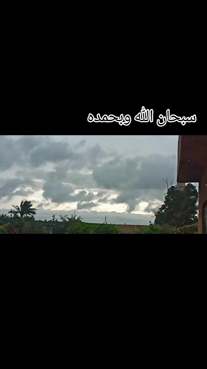 @°♡سنابل♡°