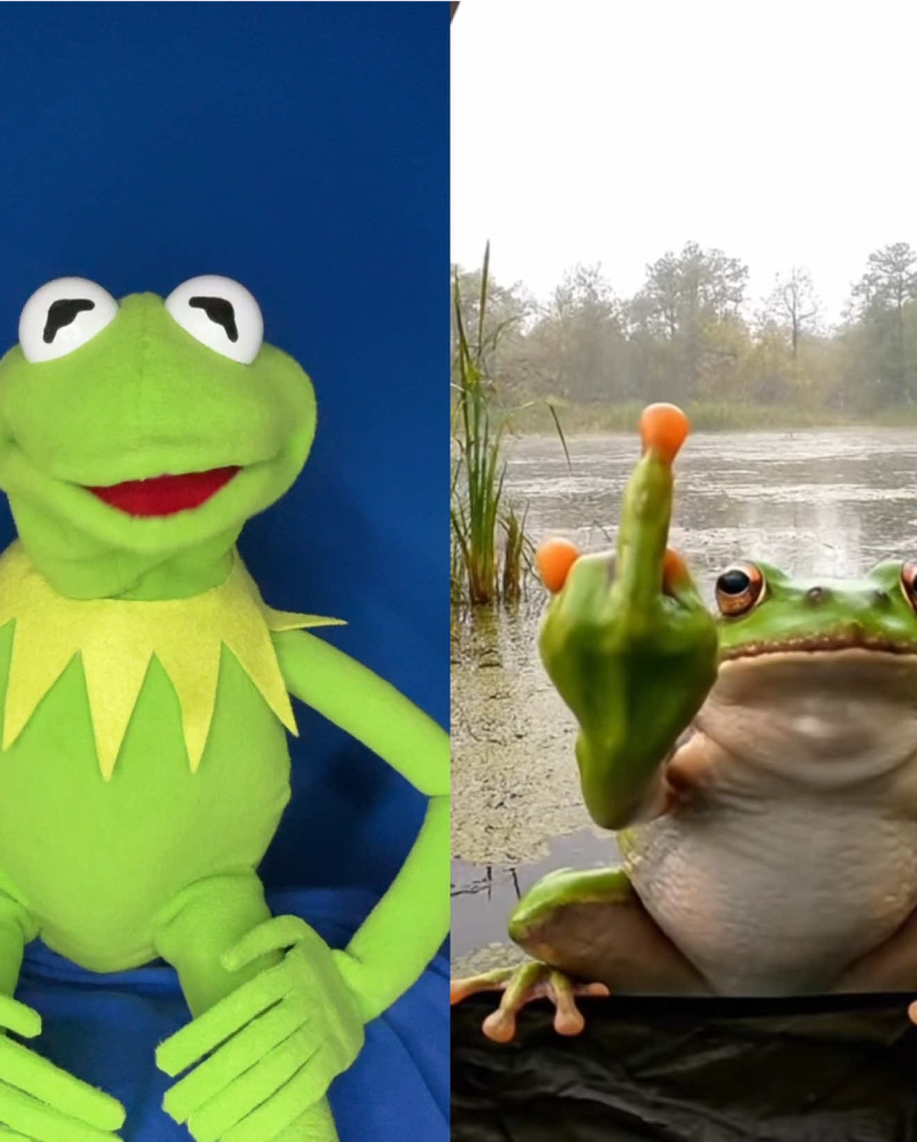 @Kermitthepuppet