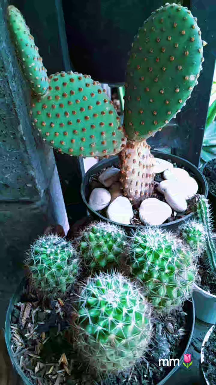 @Sejati Brataningsih