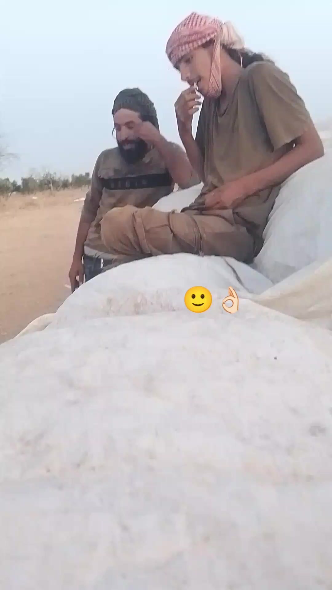 @عܔبـہود 𓅓𓆩𝟓𝟏𝟓𓆪