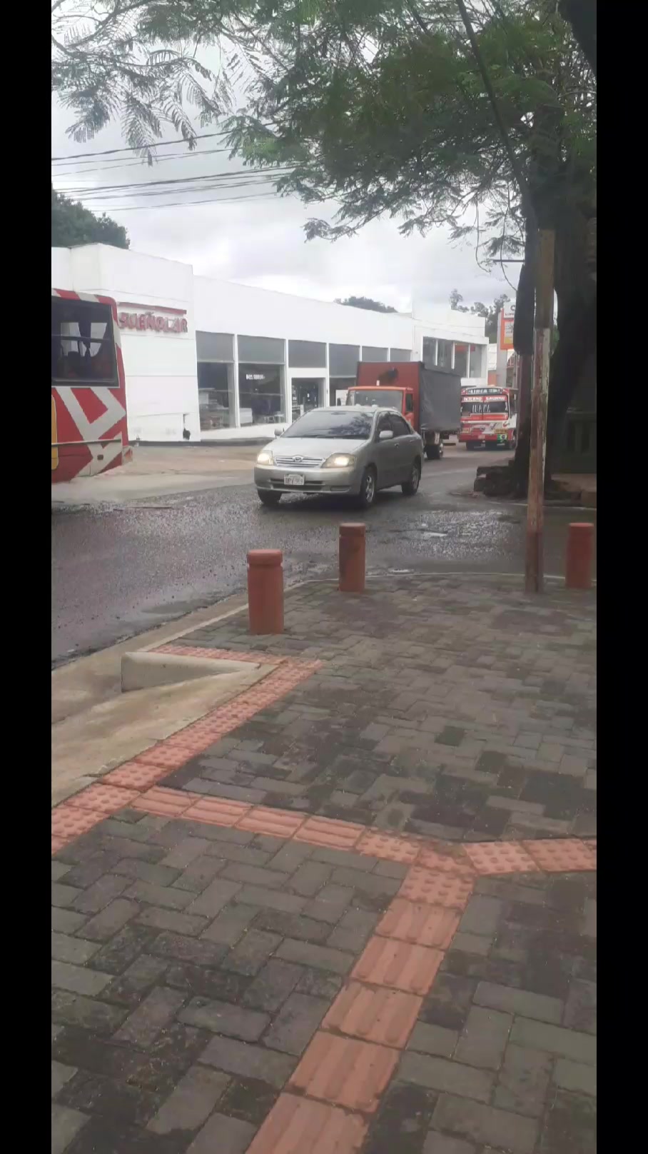 @💯PEDRITO BUSES 🔥 🇵🇾