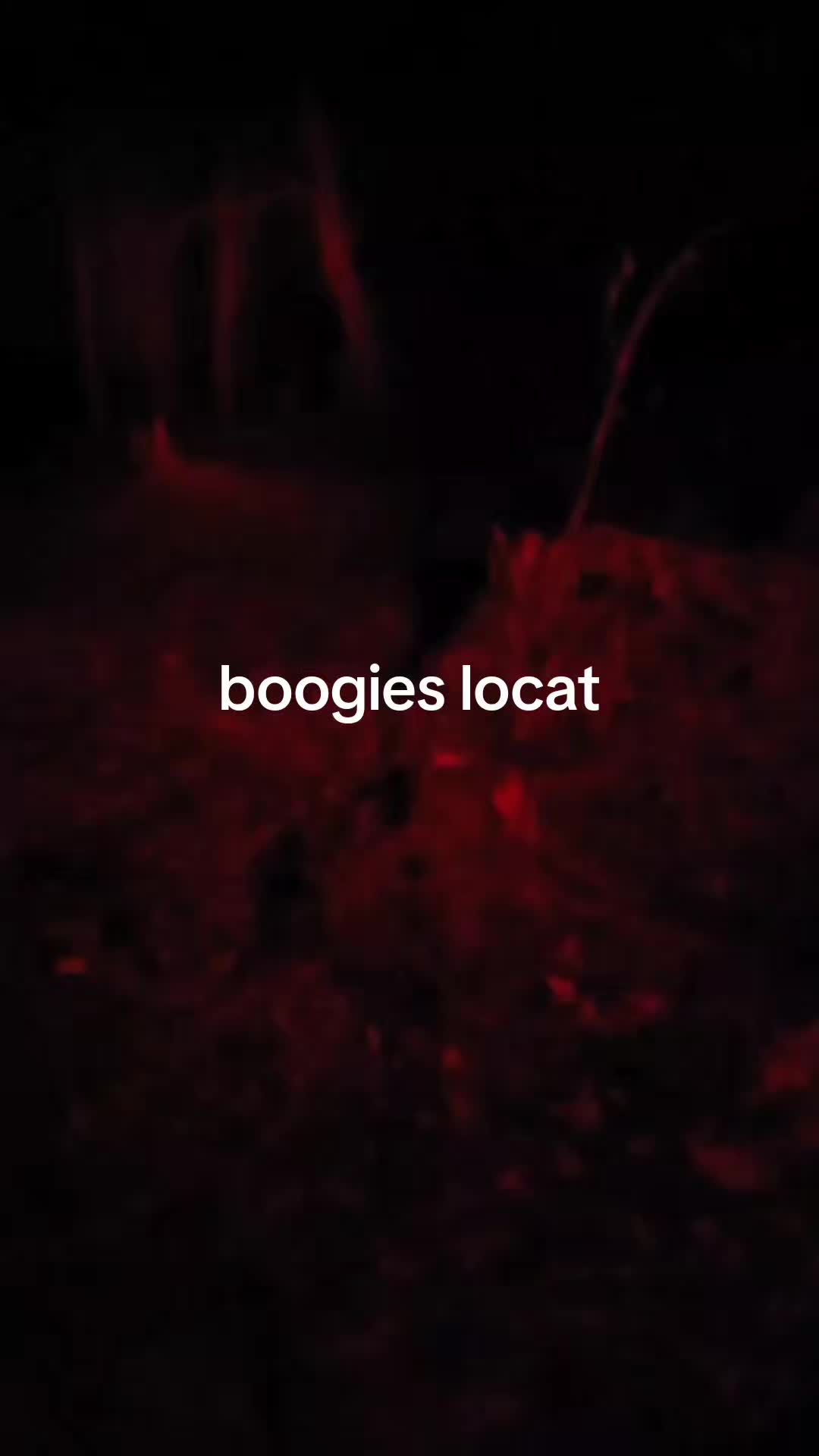 @Jeff
