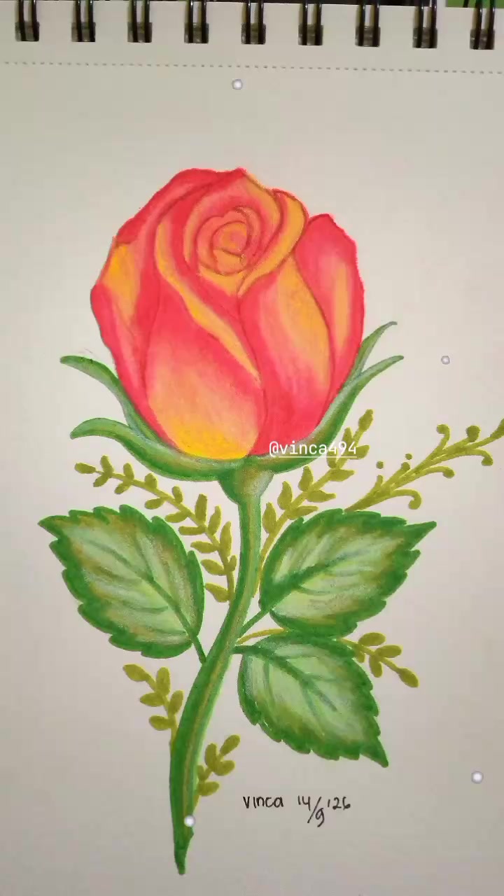 @vinca494