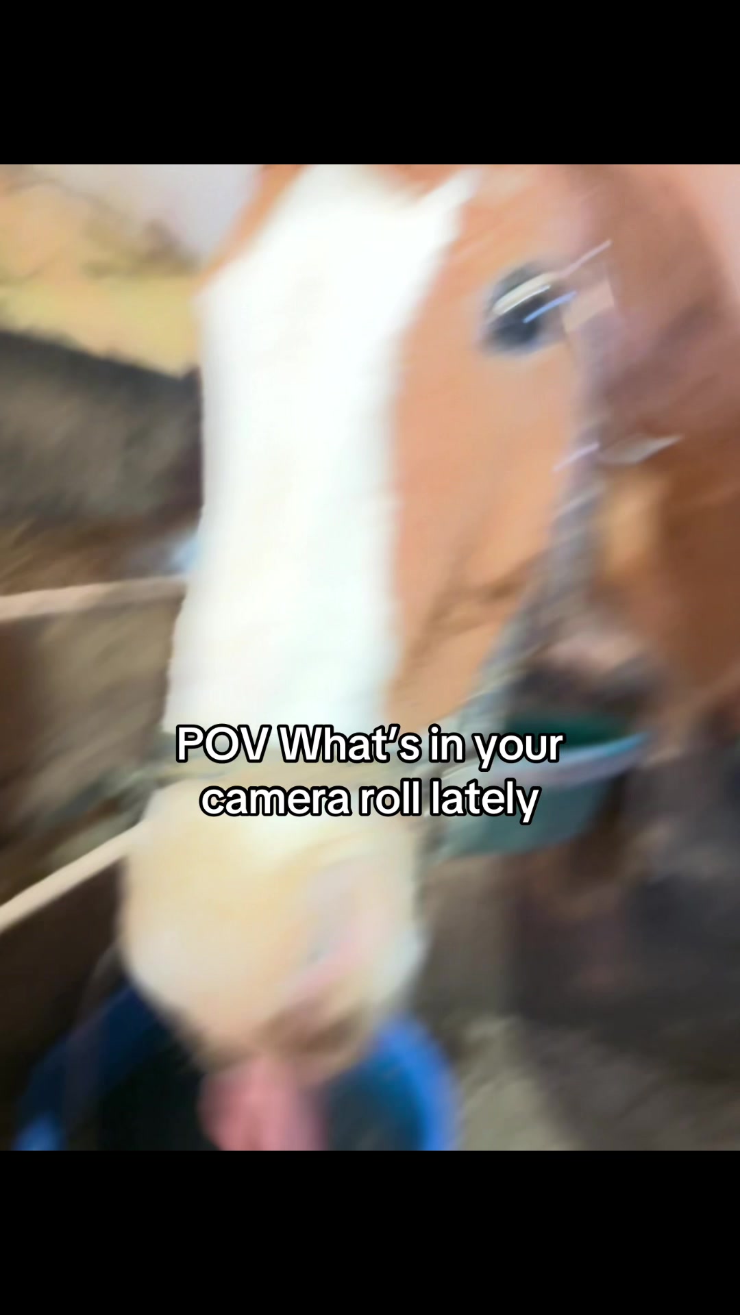 @Sasha