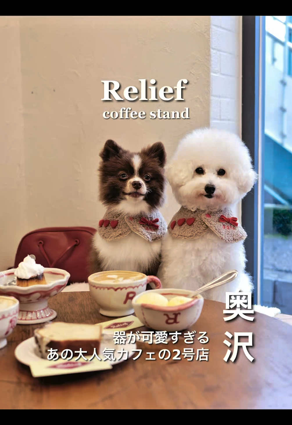 @ぽてたぬブラザーズ
