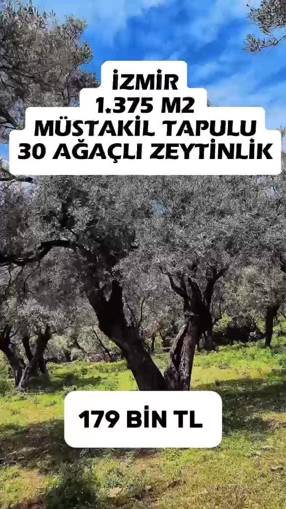 @Banuoztekin.emlak