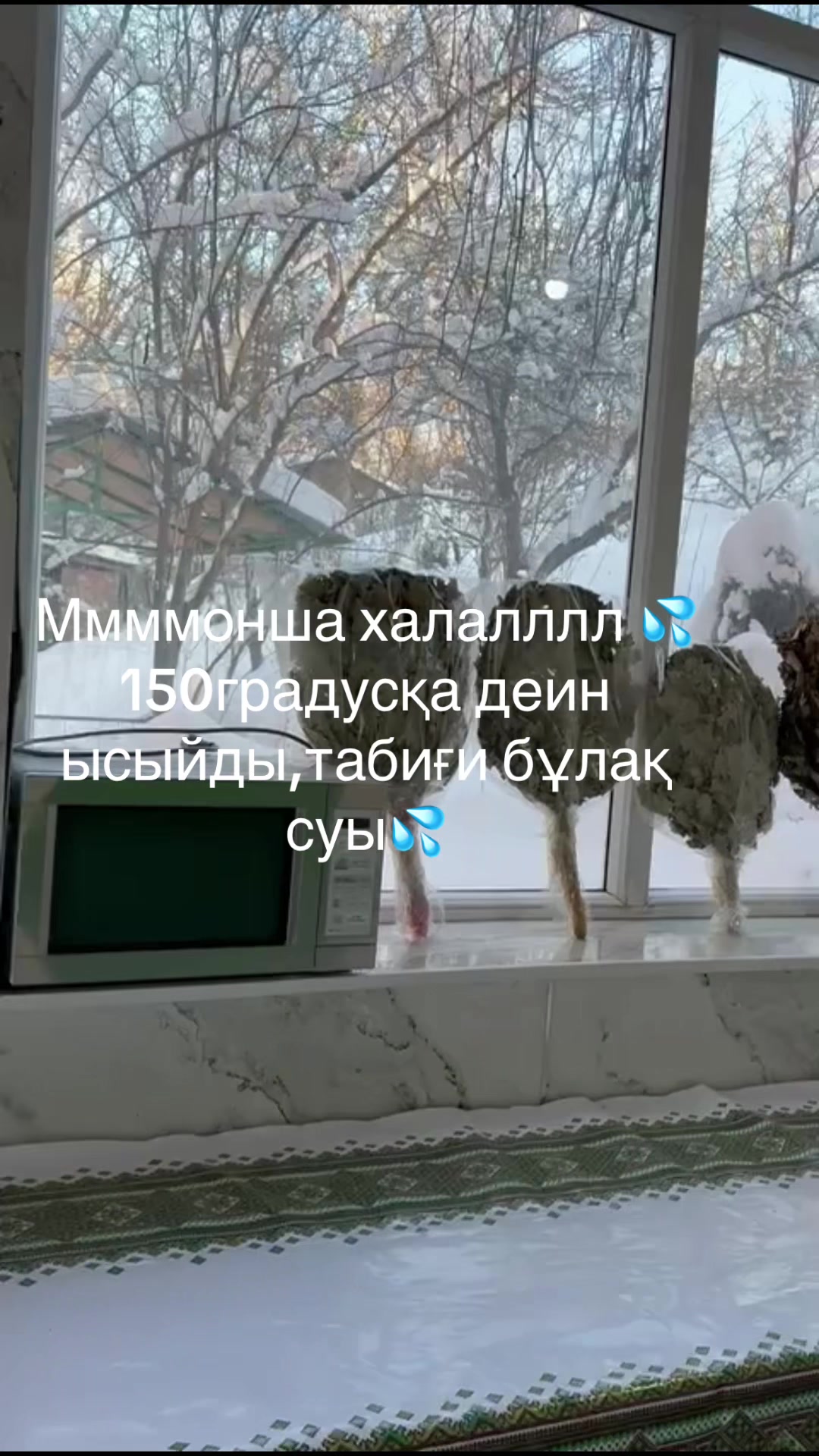 @Koksaiak.demalysaimagy