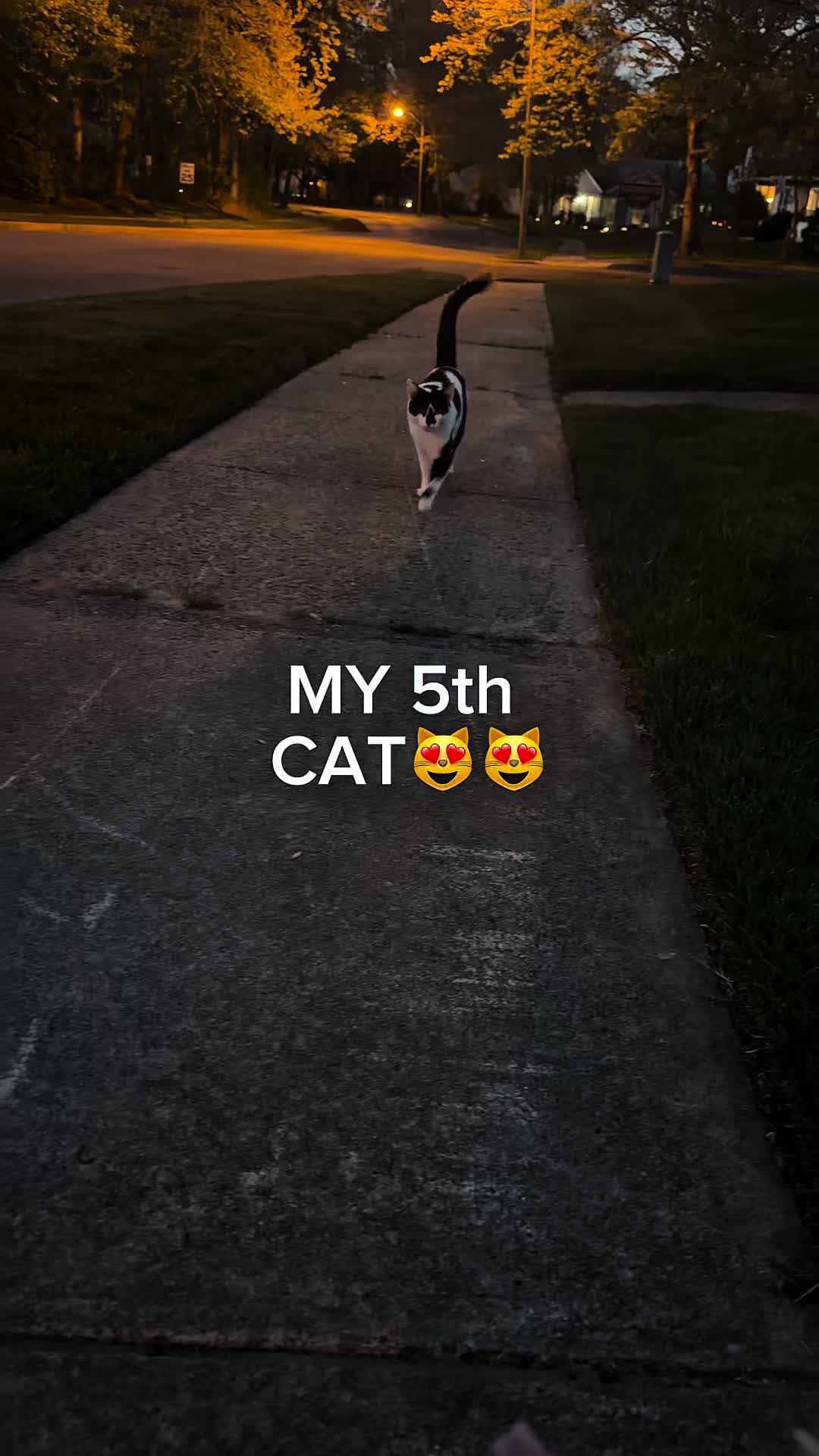 @miaaamiamiaaaa