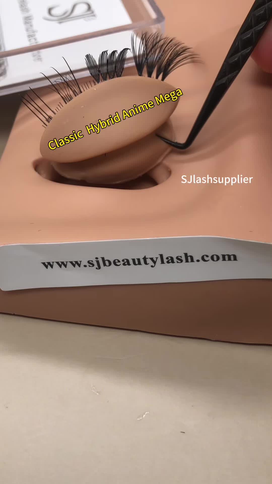 @sjlashsupplier.zoe