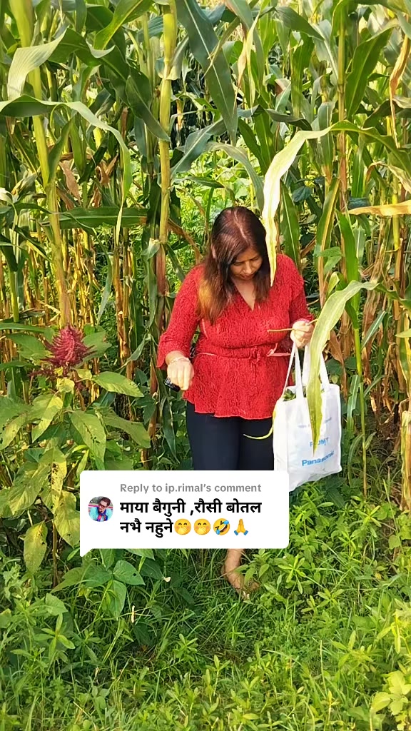 @jyoti