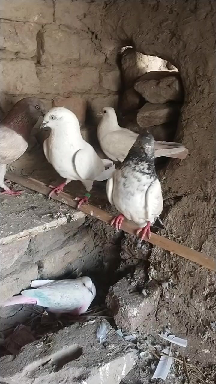 @❤️❤️❤️❤️❤️❤️❤️❤️❤️🌹🌹🌹🌹🌹👌