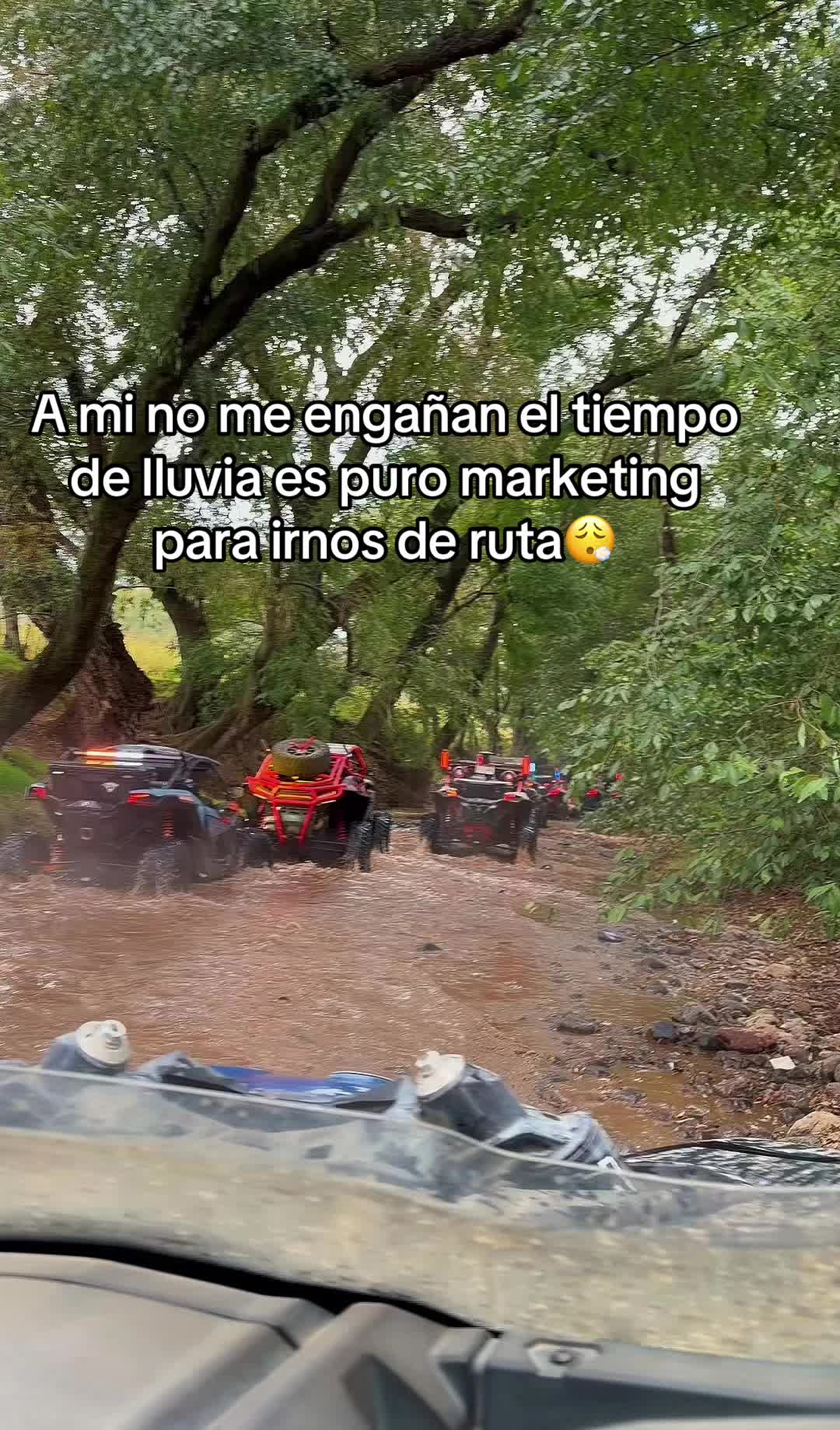 @Él calaco