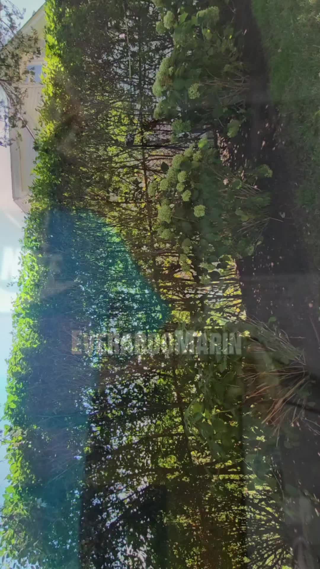 @mi &ntilde;a&ntilde;ito
