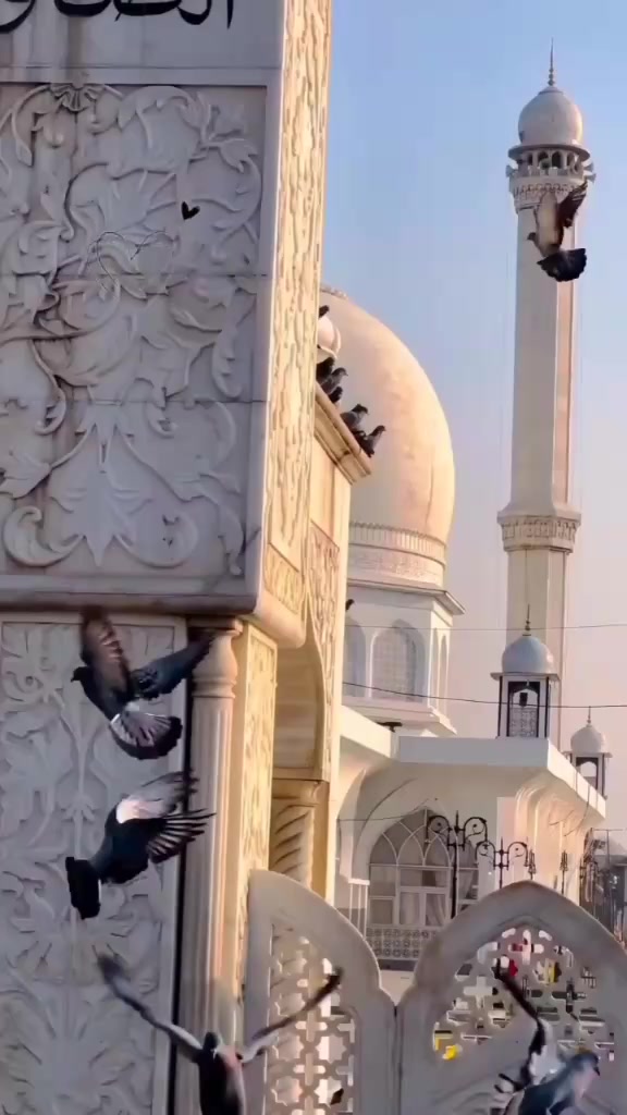 @&hearts;️جمانه ❤️