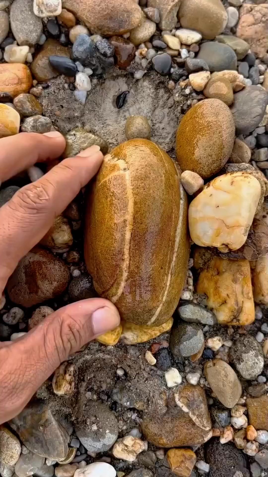 @Khyam Parajuli