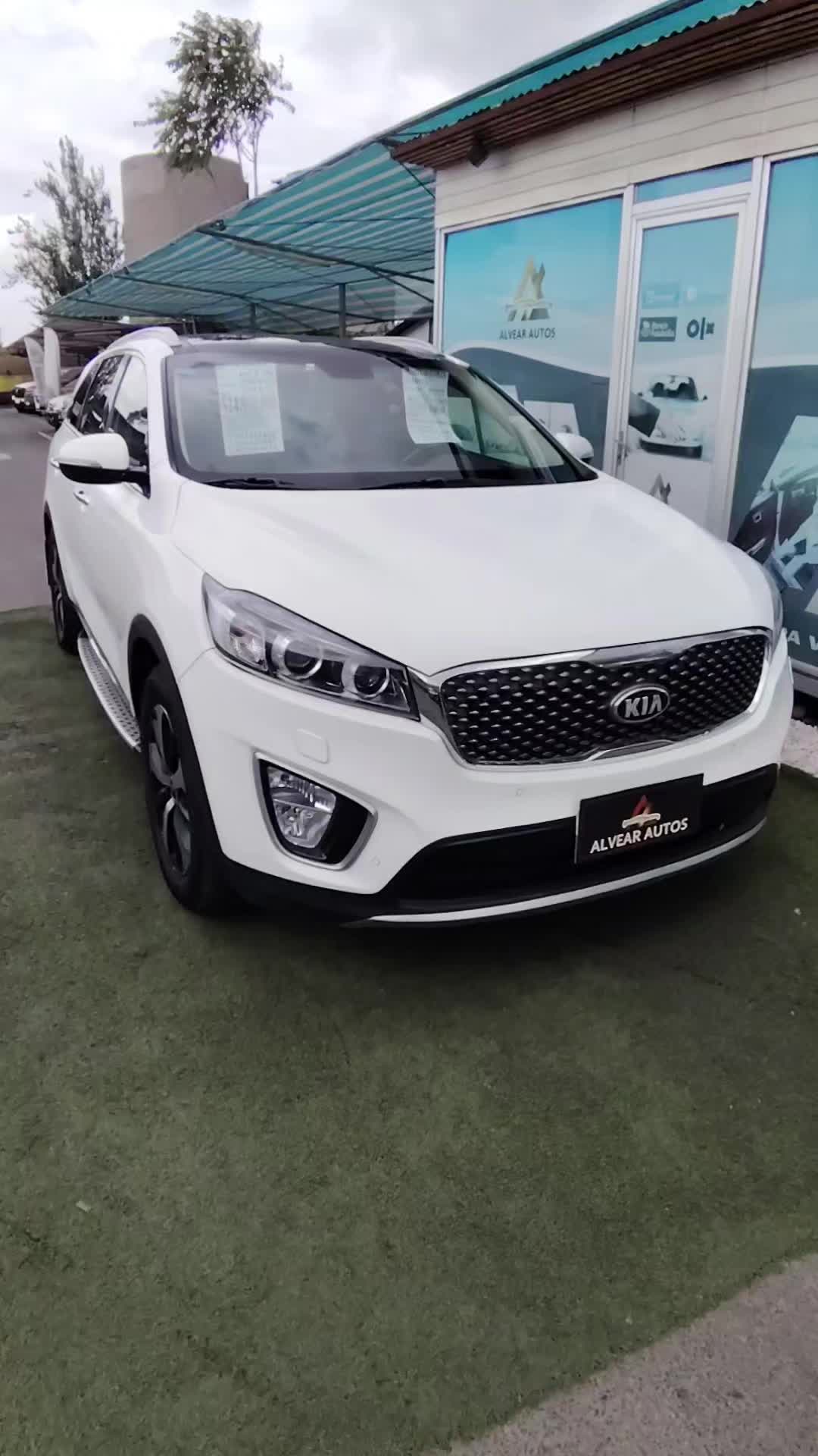 @www.alvearautos.cl