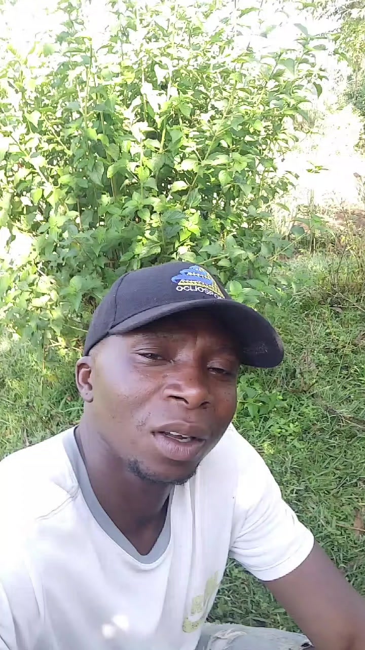 @Raz we kamukuywa