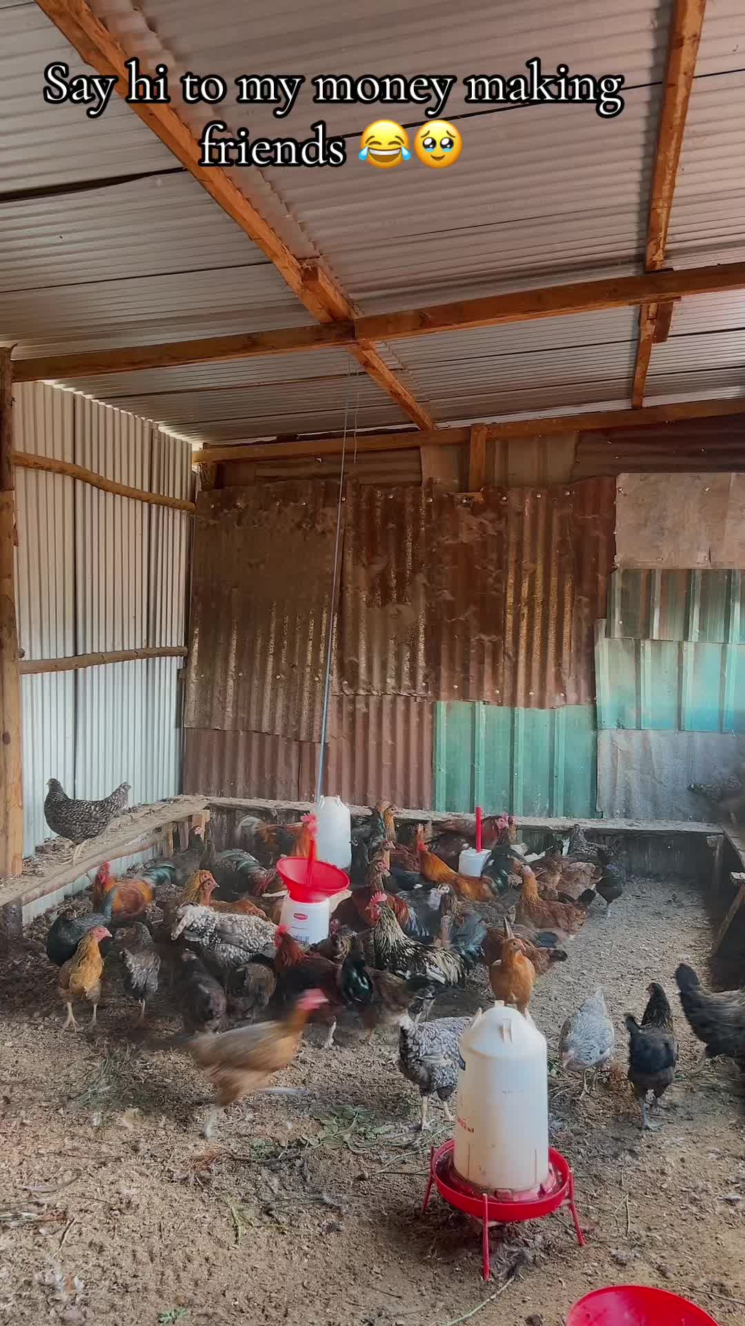 @kimasmartfarmsltd
