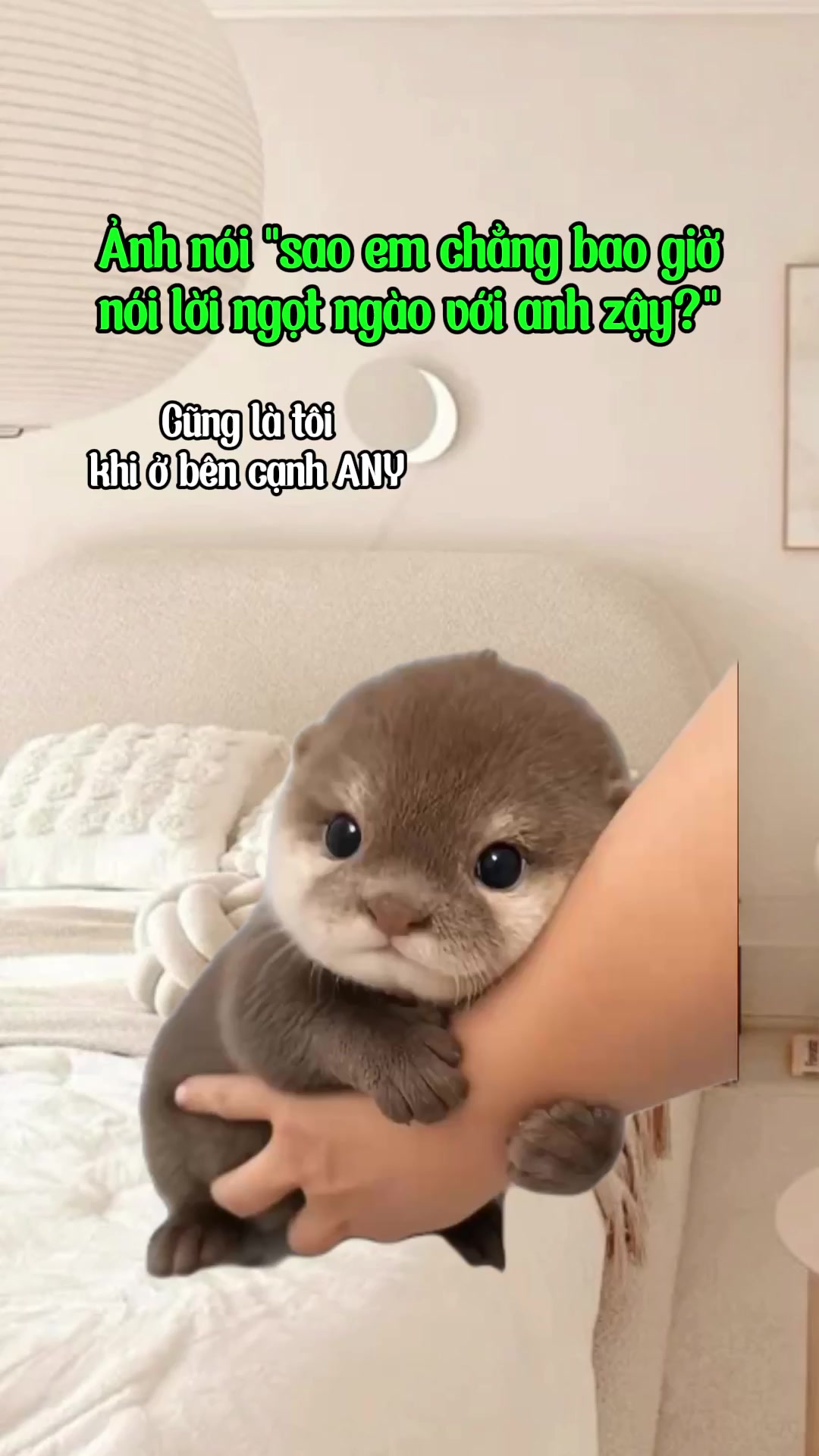 @R̫R̫8̫8̫ Thế Hệ Cợt Nhả