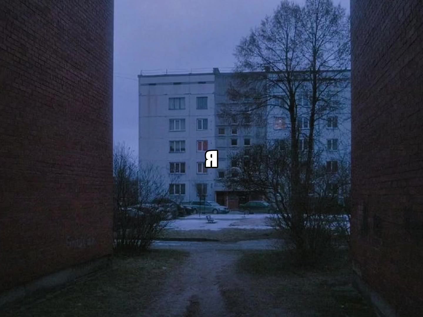 @𝐓𝐑𝐈𝐁𝐋𝐄𝐗