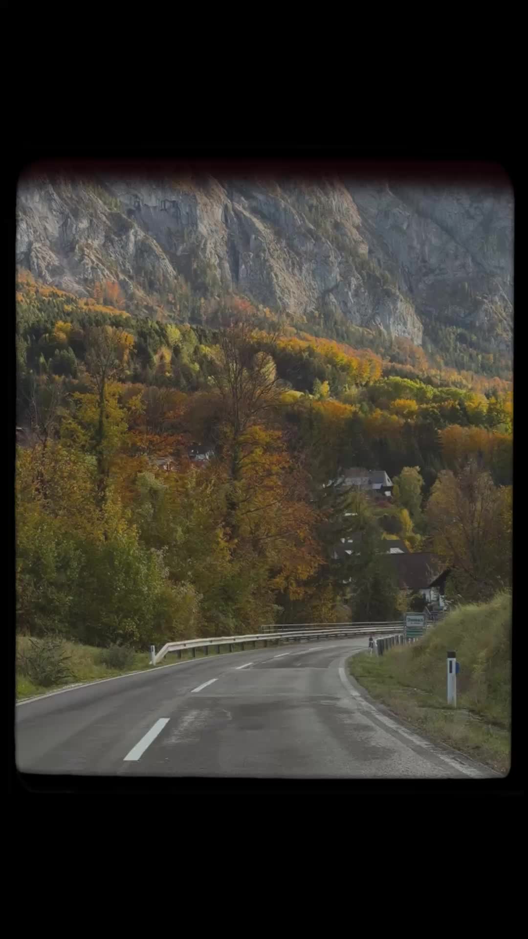 @𝗛𝗮𝗿𝗿𝘆