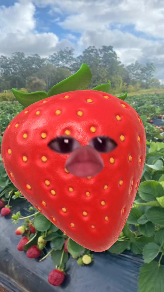 @dana mulyono