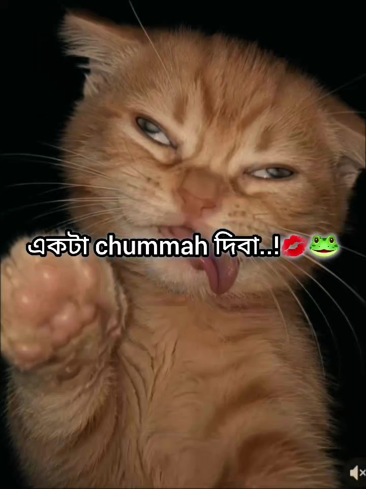 @Mᴀʀᴜғ Bɪʟʟᴀʜ 🌱