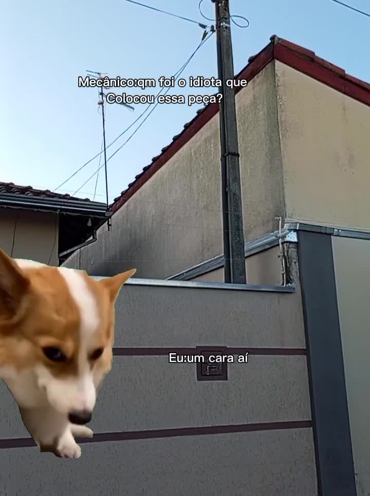 @Iguinho_da_NERO