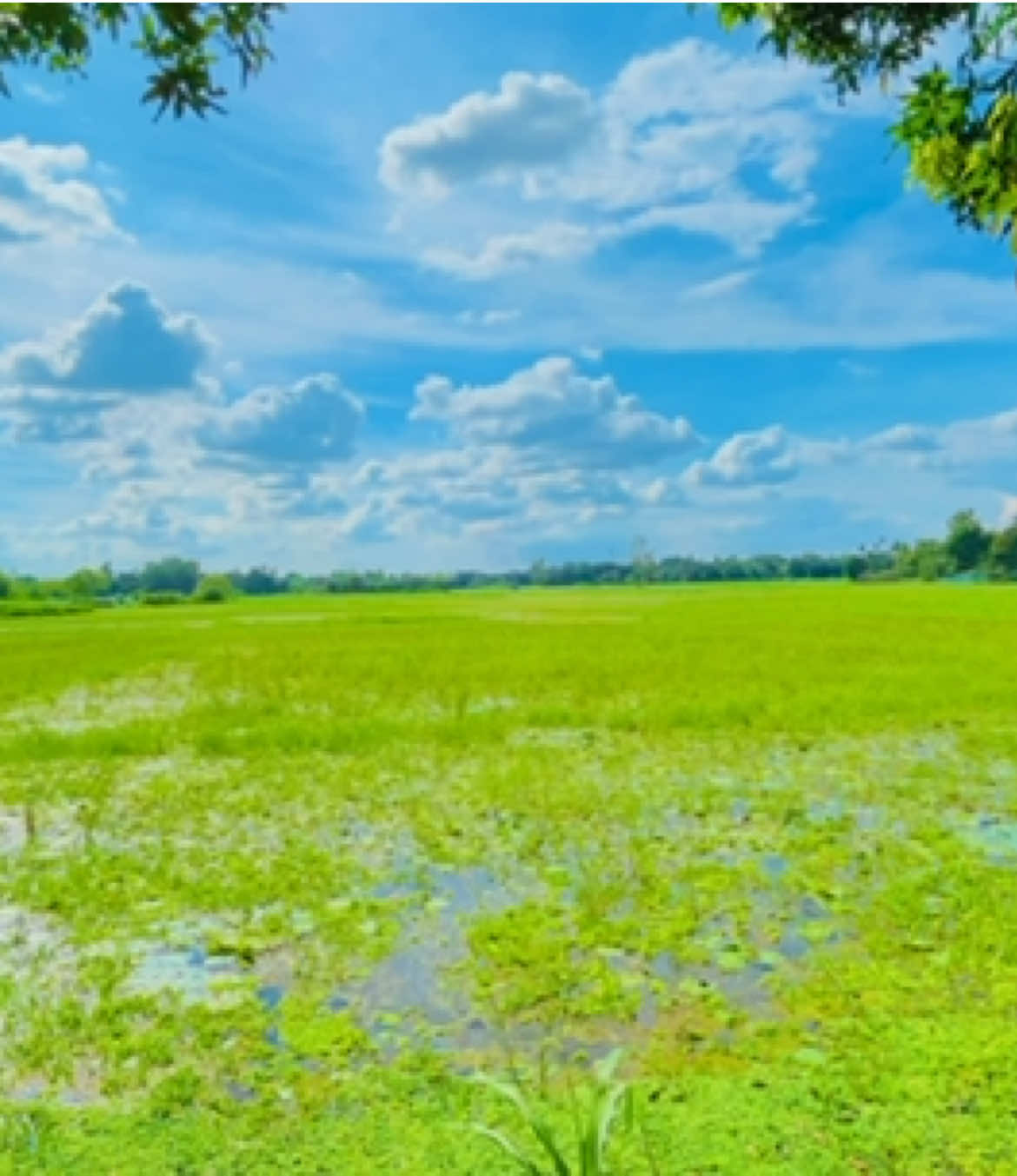 @প্রাকৃতিক 🌿