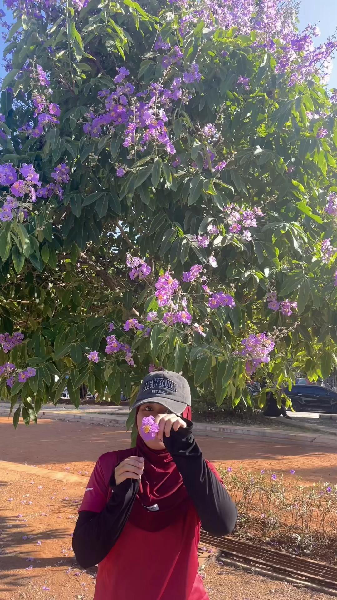 @lilies𓇢𓆸
