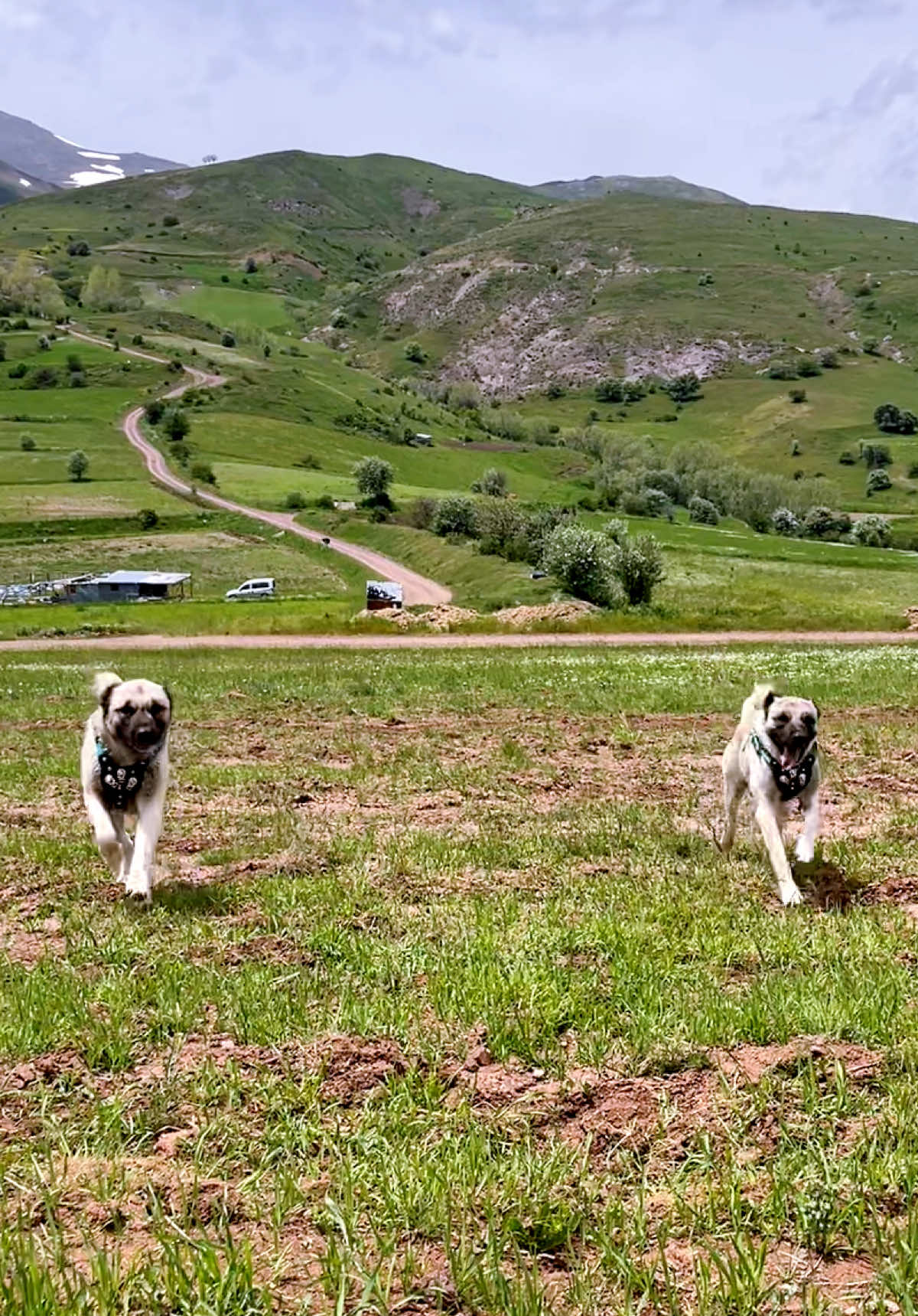 @Uğur Yetiş