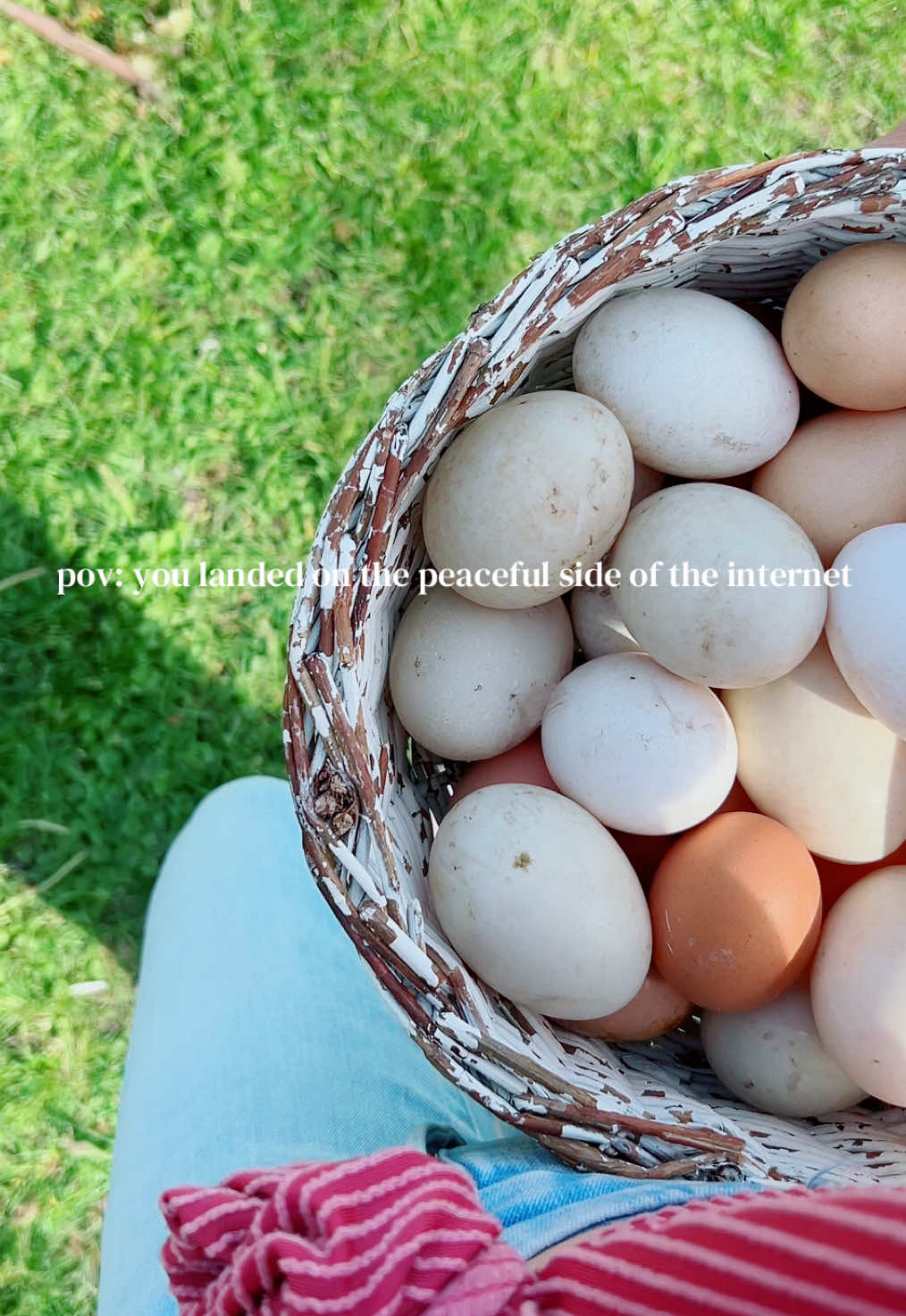 @Mackenzie ✿ frilly farm life