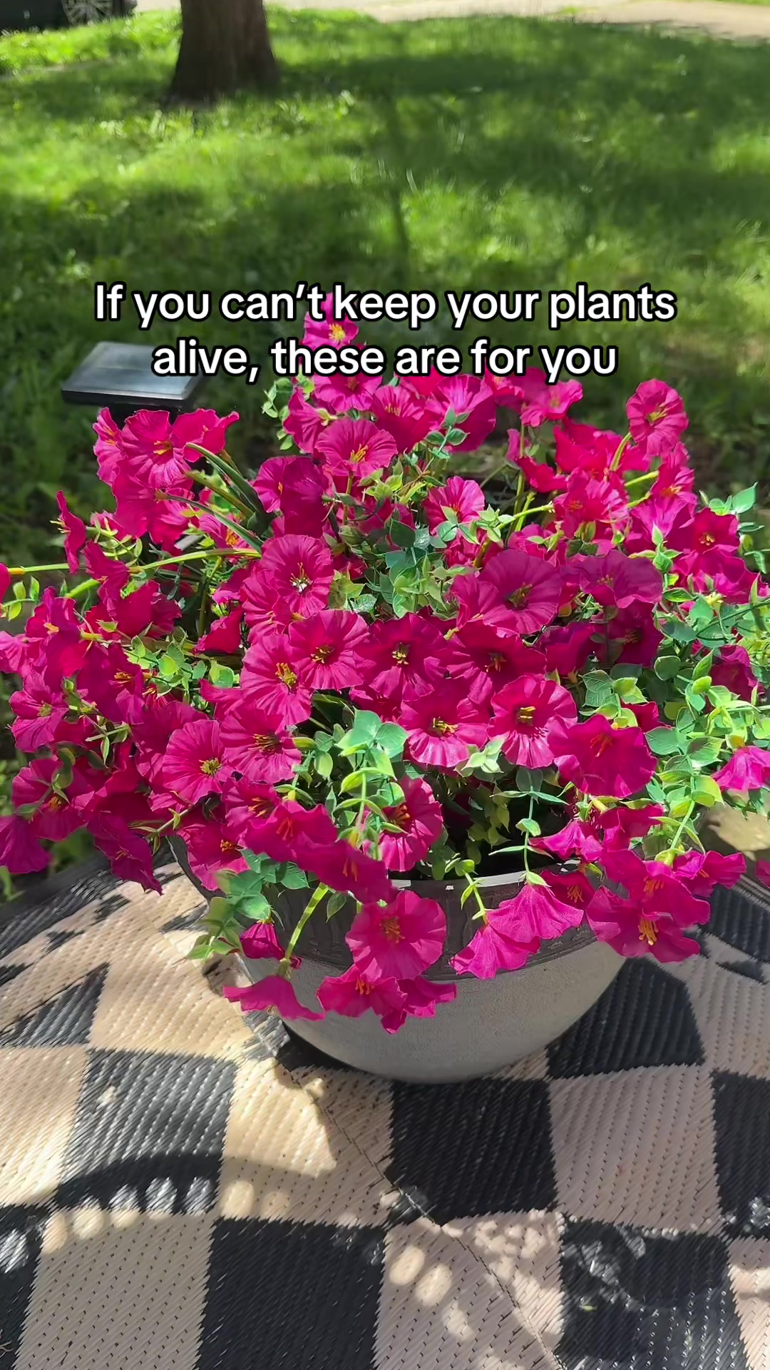 @🌸Alicia🌸