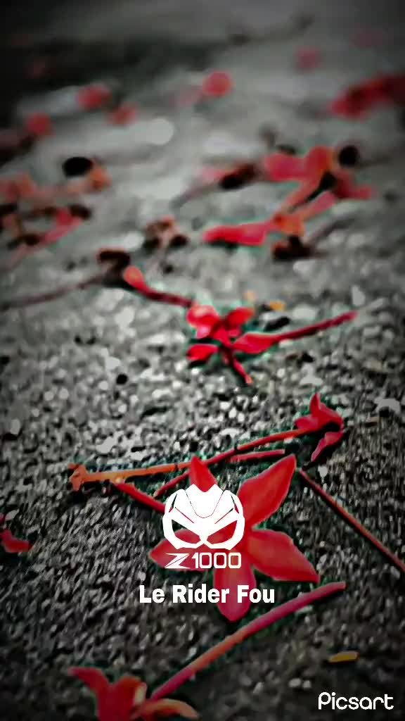 @عالم الدراجات النارية 🏍🔥🖤