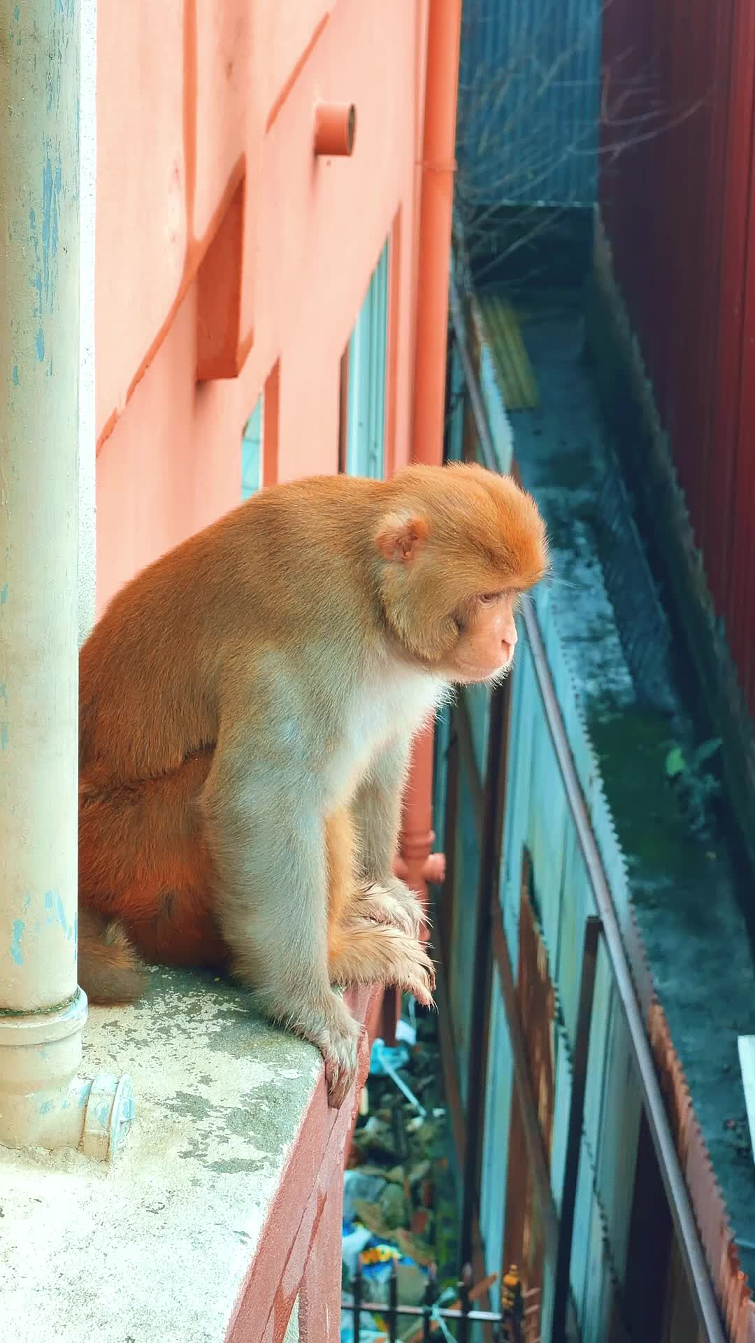 @pratham_beats_5