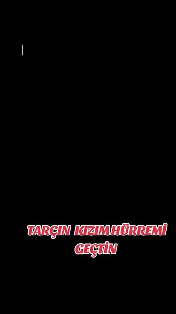 @🐕ŞHİVA MİNİK PATİLER🐕