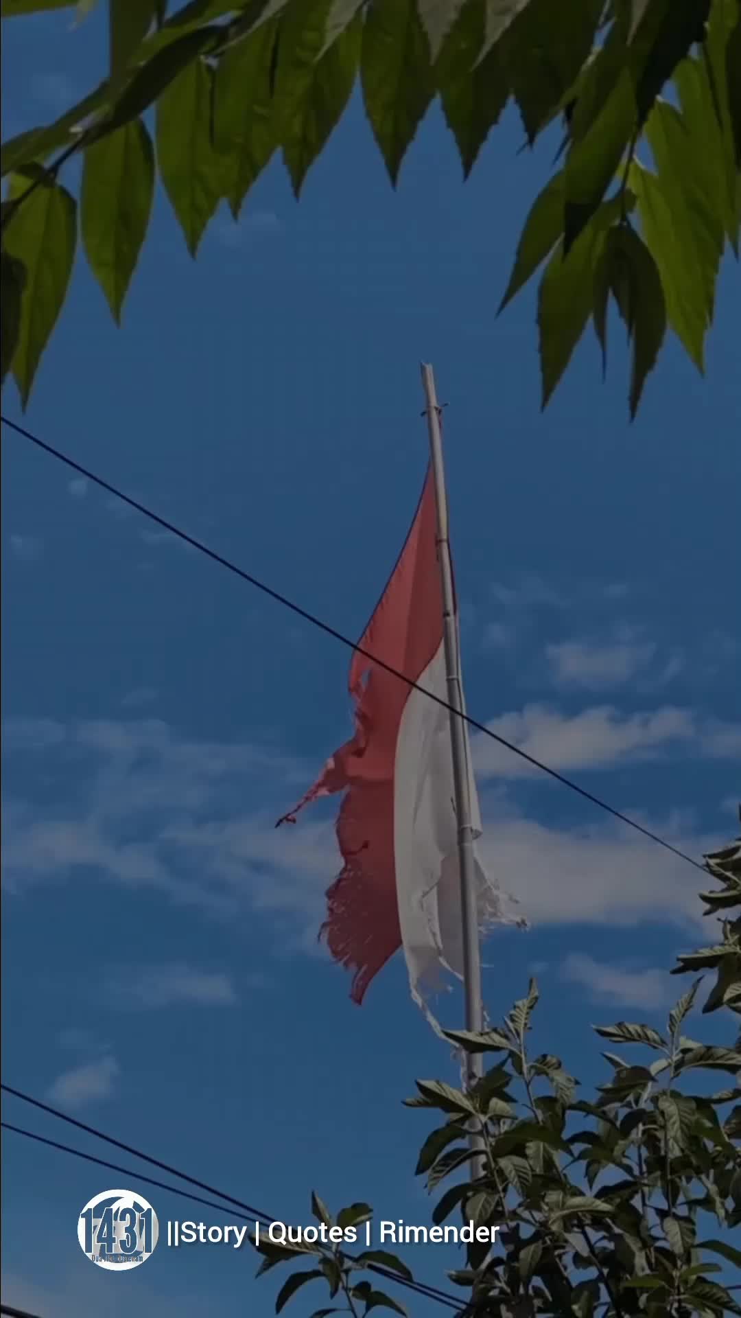 @๐ธ๐๐๐๐๐๐๐๐ฆ๐ฃ
