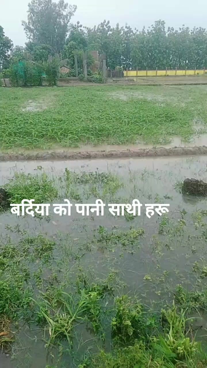 @दिपा।🙈