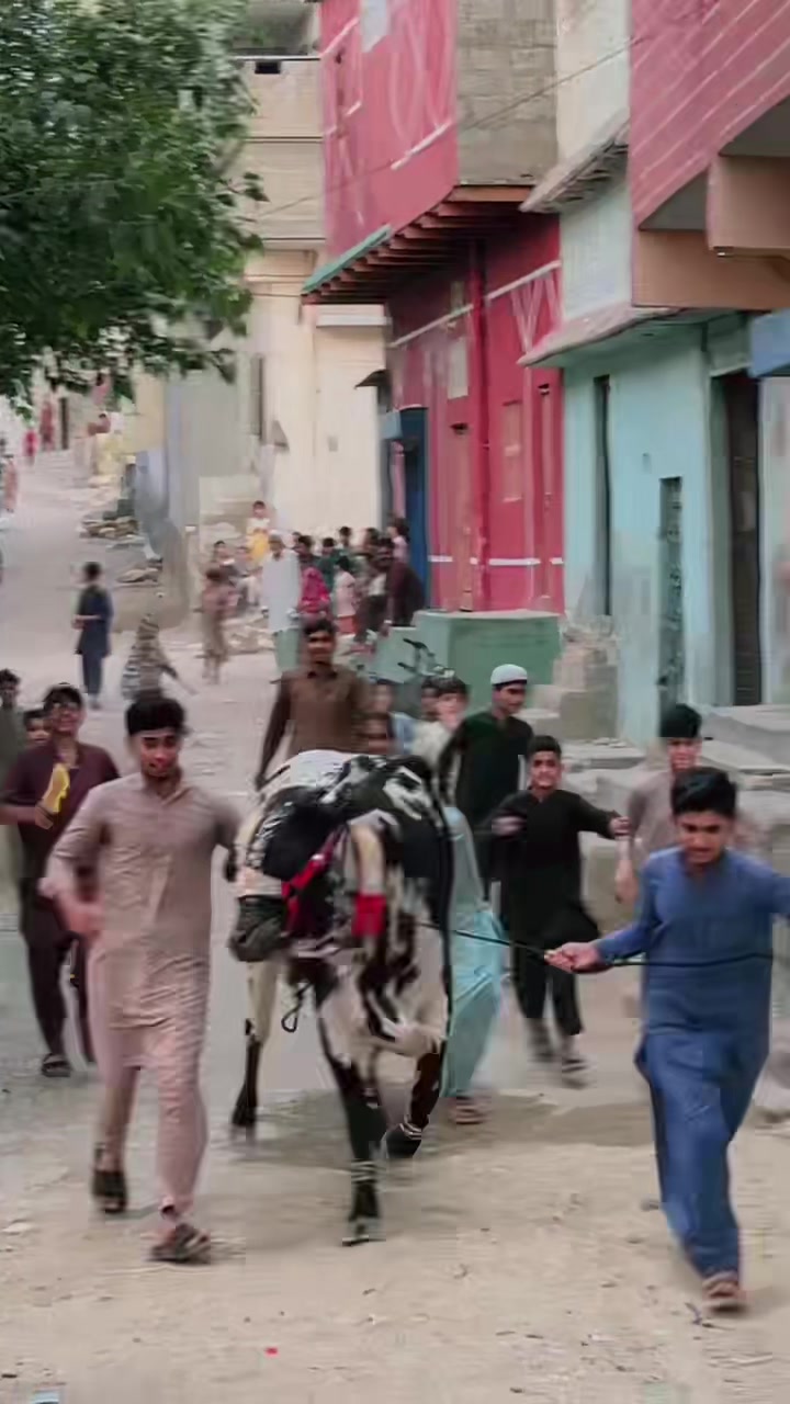 @اسدبادشاہ⚜️