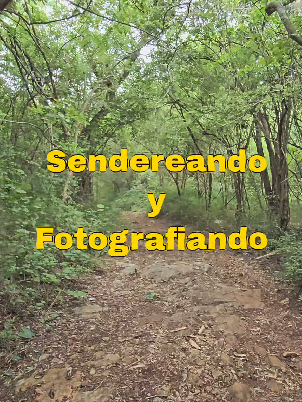 @Gonza