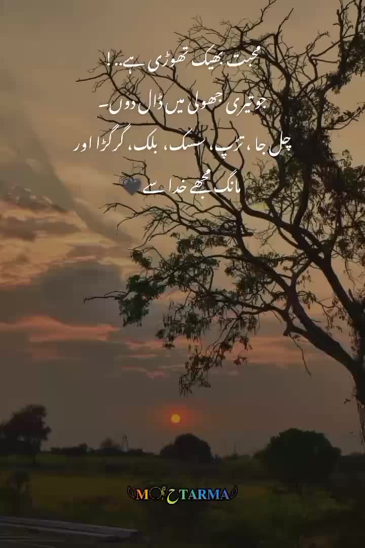 @𓆩𝐌𓋜ح𝐓𝐀𝐑𝐌𝐀𓆪