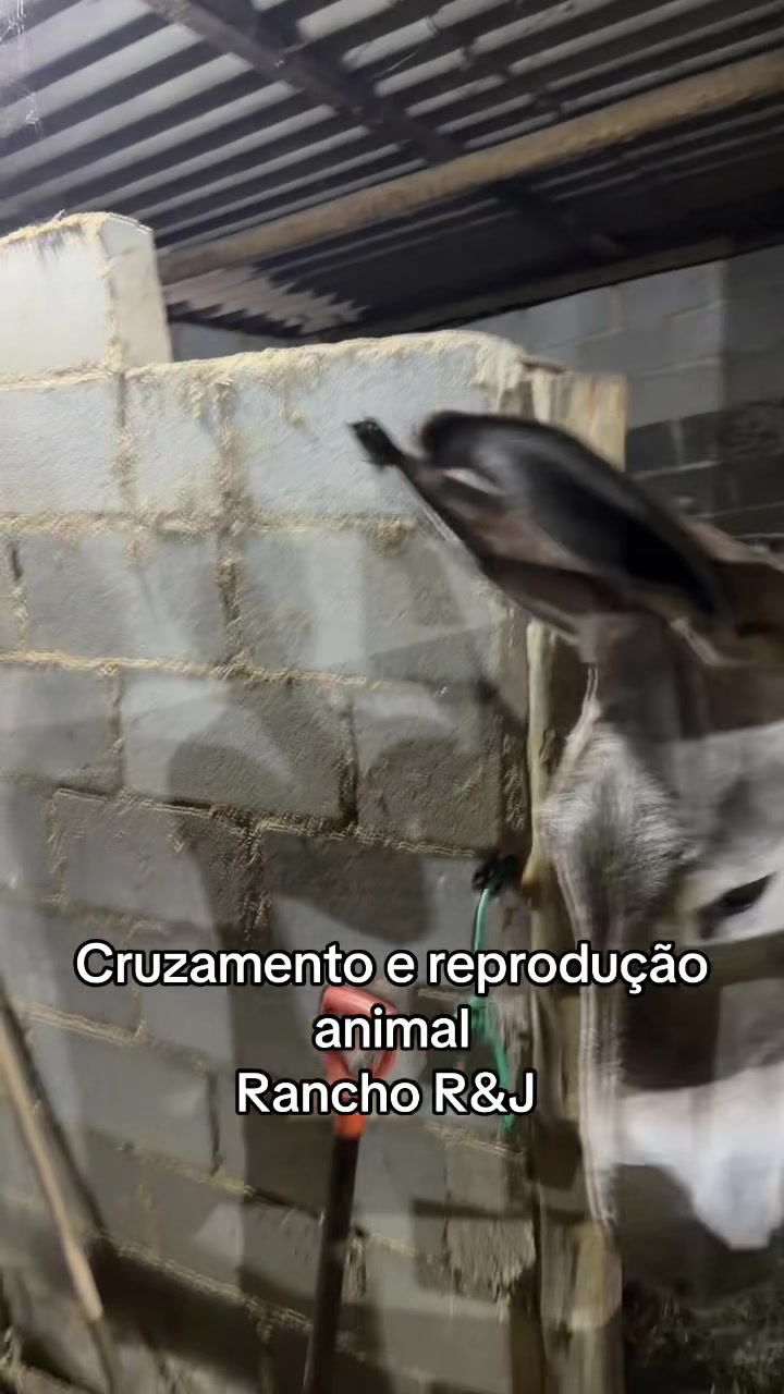 @claudenir Pereira Pinto