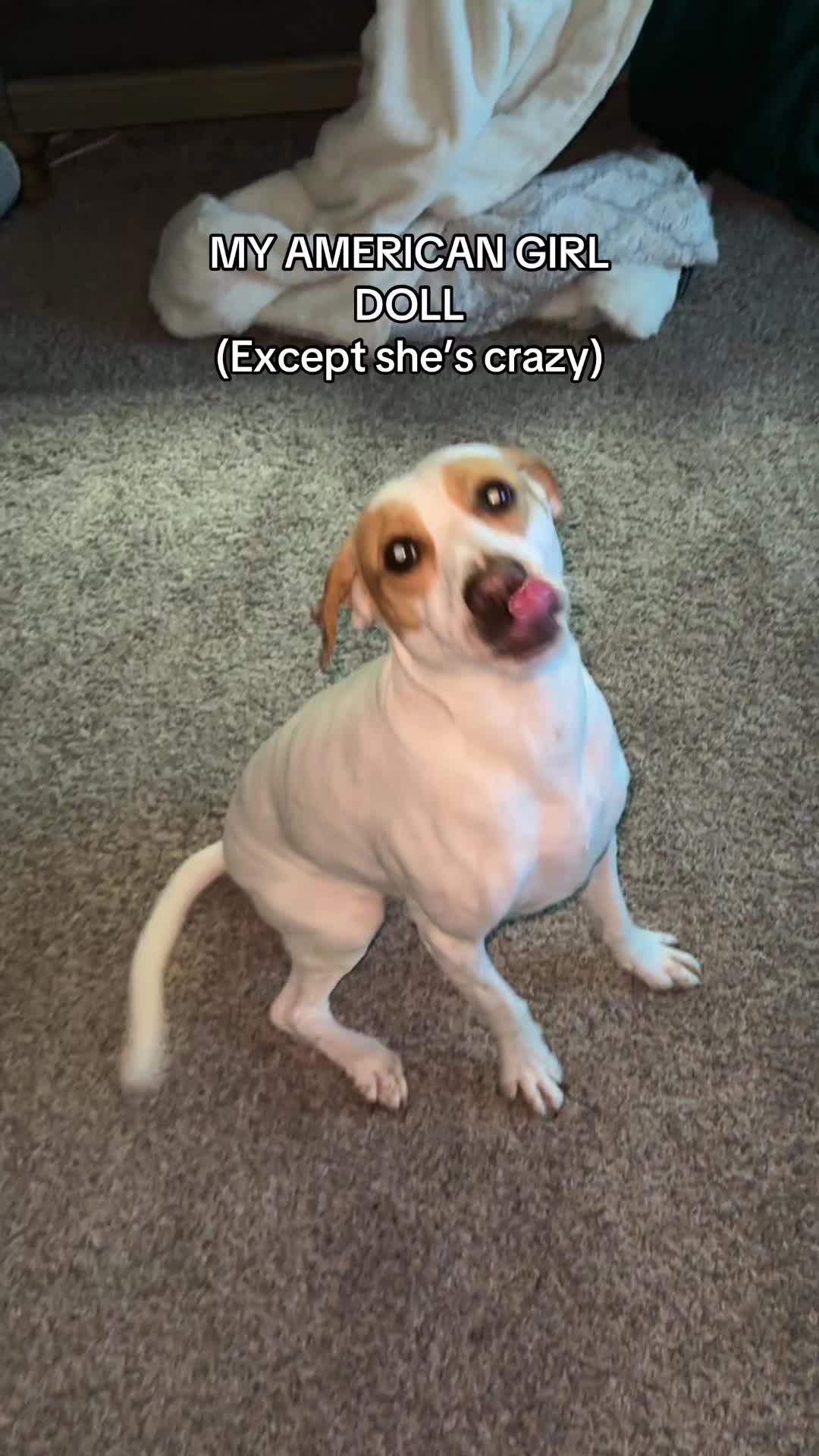 @Sproutie 🐶
