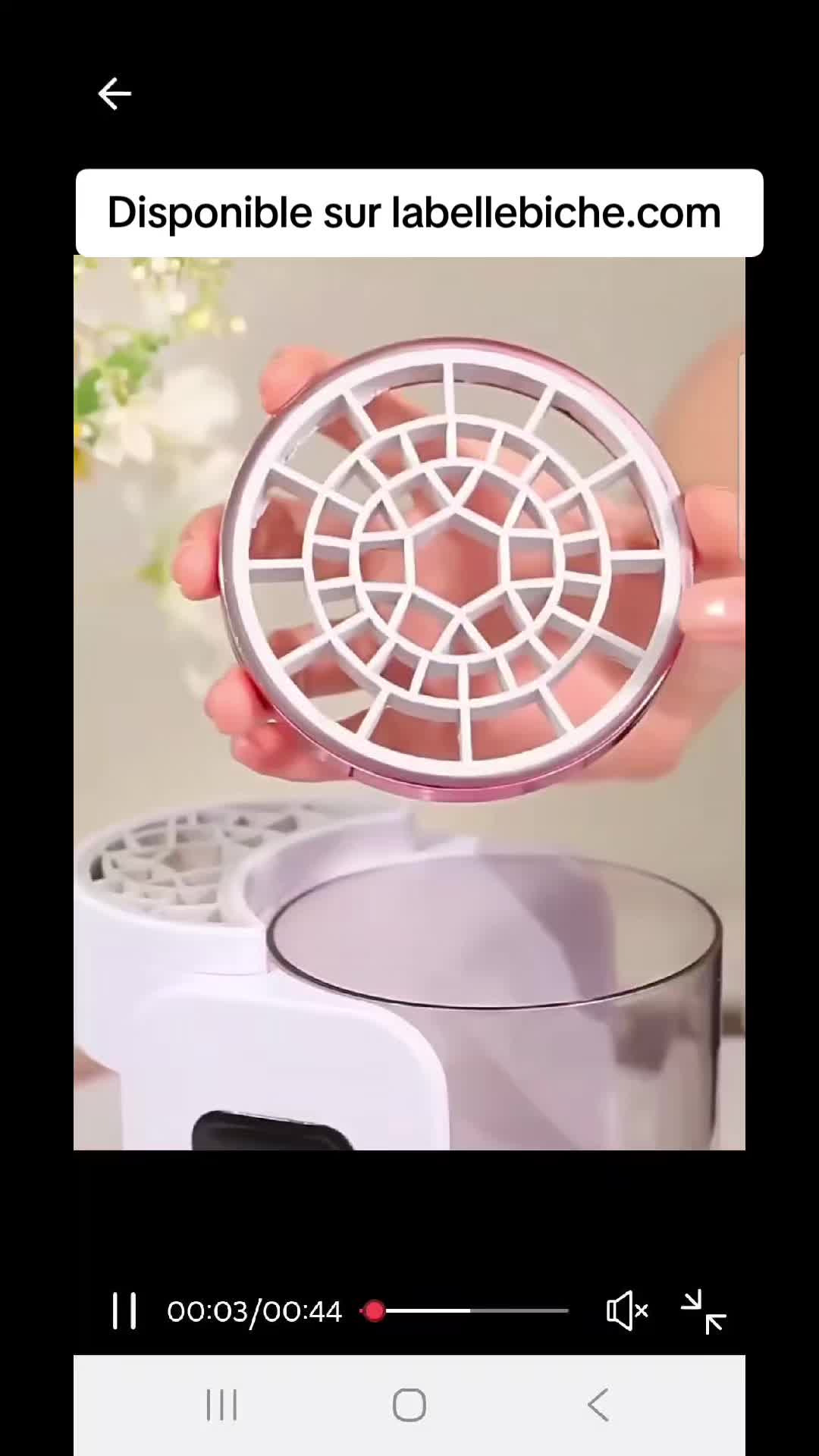 @LaBelleBiche